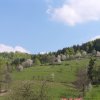 Jaro (14)